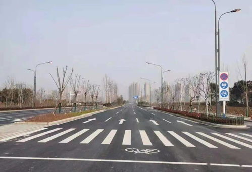 舒城城區交通設施建設全面提速，織密安全出行網